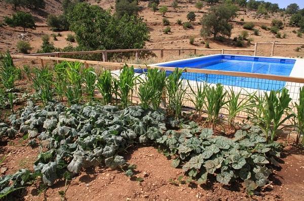 Apartamentos Turísticos Rurales Monte de las Ánimas Valdepenas de Jaen Exterior foto